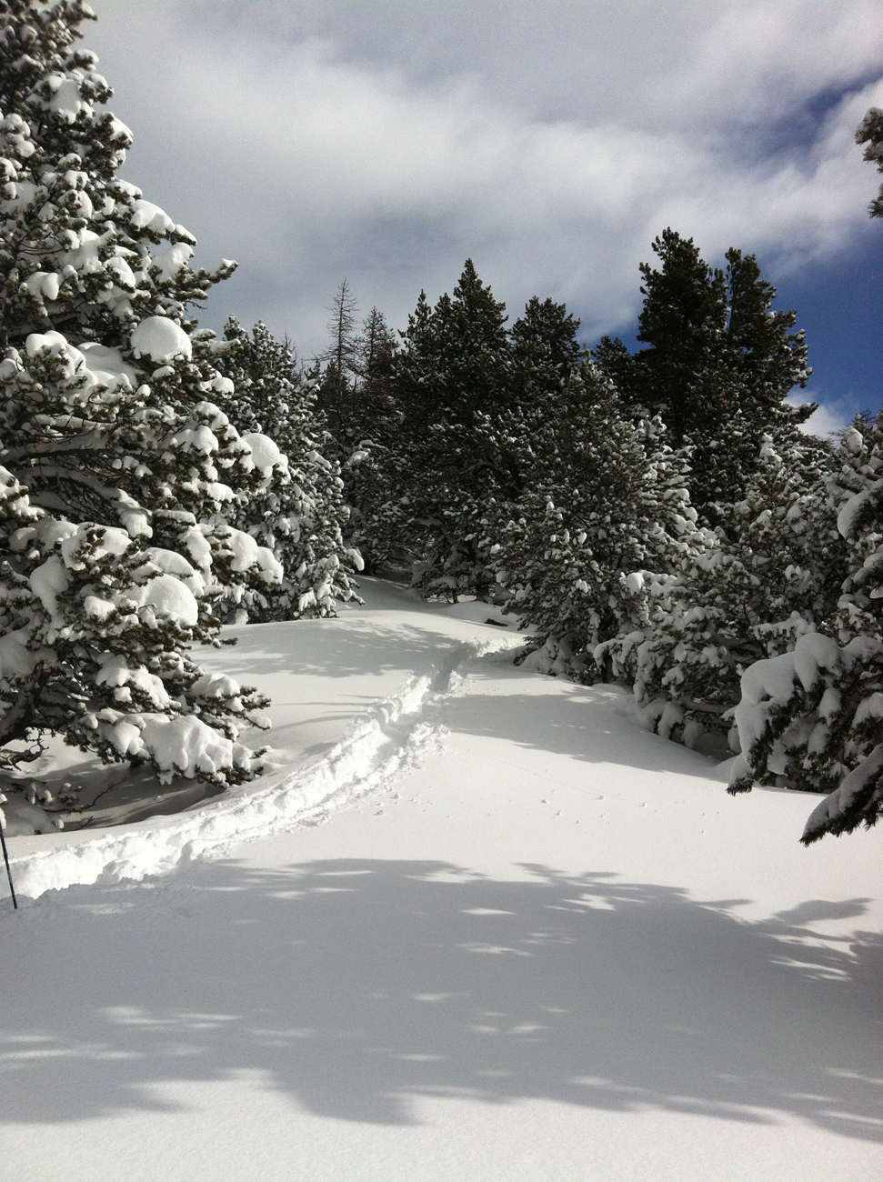 balade dans la neige fraîche 1/2 journée raquette